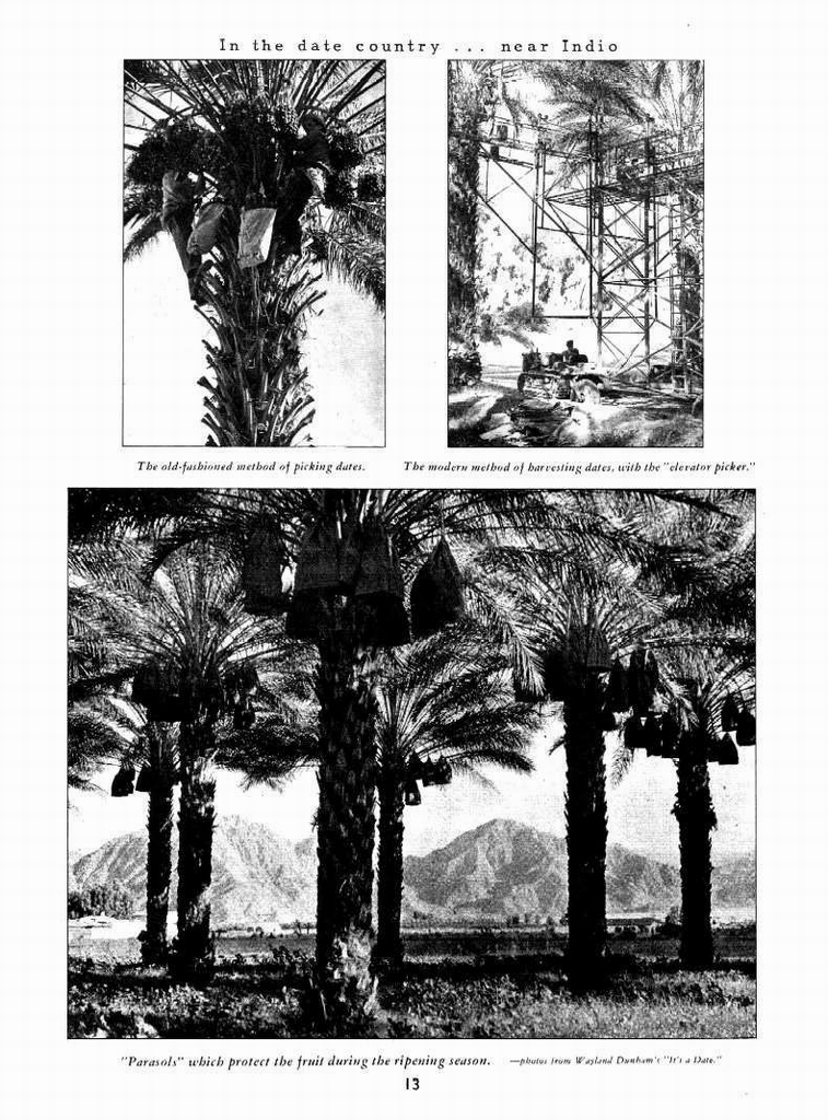 n_The New 1949 Chevrolet-13.jpg